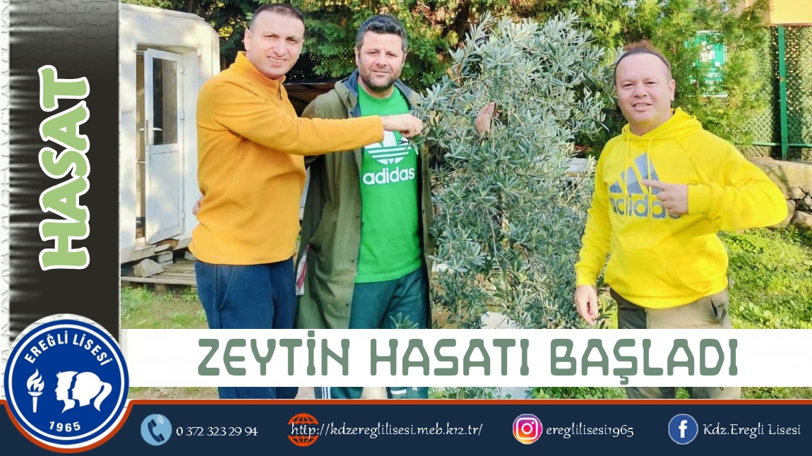 ZEYTİN AĞACIMIZ İLK MEYVELERİNİ VERDİ